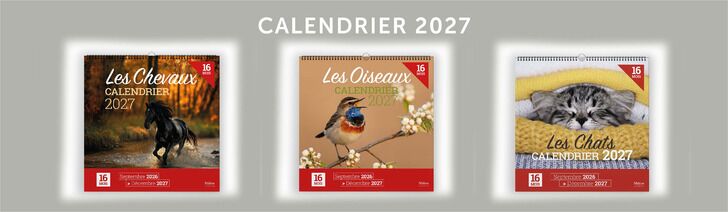 Nouveautés Juin 2026