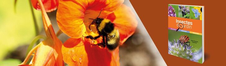 Nouveautés Mars 2026